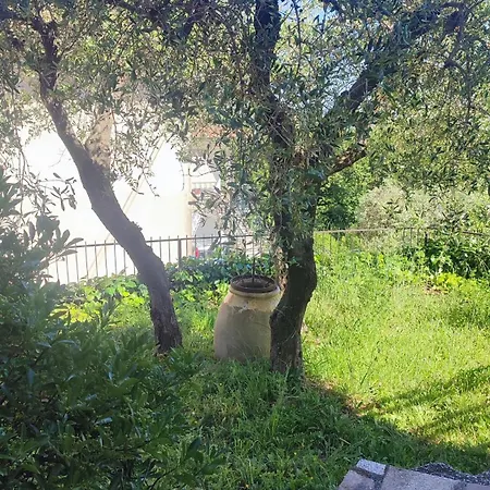 Il Giardino *